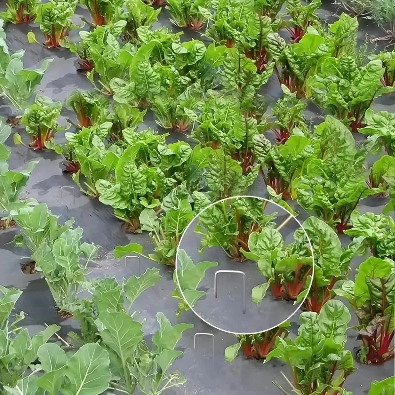 100 stks Landschap Nietjes, U-vormige Tuin Pins Tuin Stakes Nietjes, zware Yard Gazon Tent Stakes Beveiligen Haringen Voor Wiet Ba