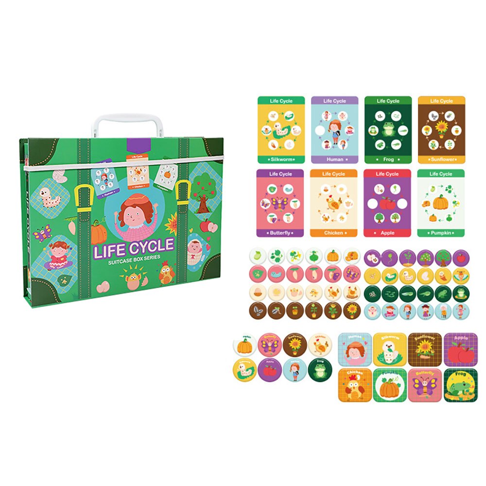 Life Cycle Puzzles Learn Words Puzzles Toys For Ad... – Vicedeal