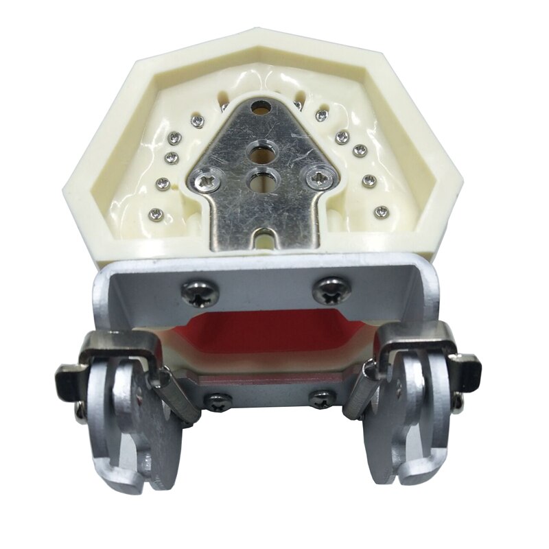Dental Teaching Model Standard Dental Typodont Model Demonstration With Removable Teeth 200H Teeth Model