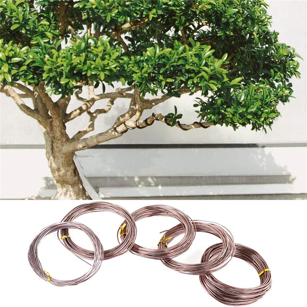 5 Rolls Bonsai Wires Anodized Aluminum Bonsai Training Wire with 3 Sizes (1.0 Mm,1.5 Mm,2.0 Mm)