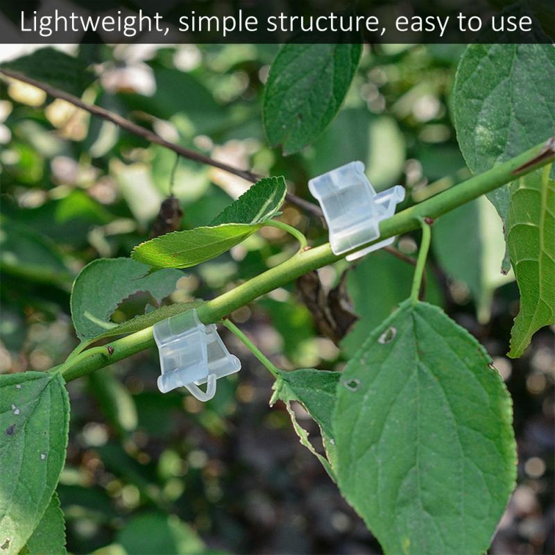 100 stuks groente- en fruitboomzaailingenkwekerij plastic planten entclips tuingereedschap entclips plantenclip