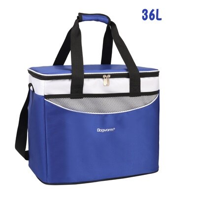 Bolsa térmica con 6 paquetes de hielo, para viaje, refrigerador: blue