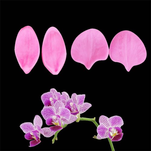 Phalaenopsis Orchid Flower Veiners Silicone Molds Fondant Sugarcraft Gumpaste Clay Water Paper Cake Decorating Tools CS224