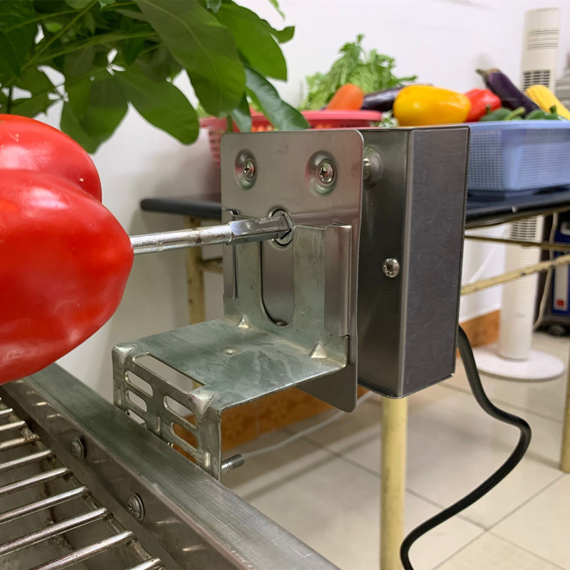 Elektriskt grillspett för tungt kött, roterande motor, elektrisk grill, grillspett, metallrotisseriemotor, grilltillbehör 220v