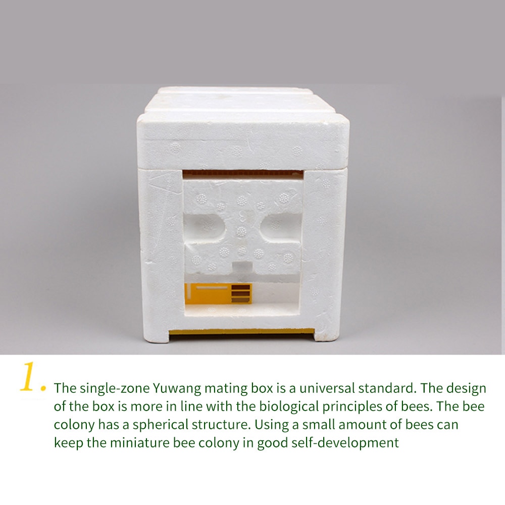 Bee Hive Beekeeping King Box Pollination Box Foam Frames Beekeeping Tool Kit Harvest Bee Hive Home Hive Case Beekeeper Tools