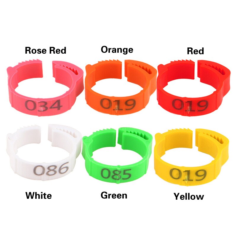 100pcs Chicken feet ring poultry legs without digital label buckle plastic duck and goose farm equipment adjustable size