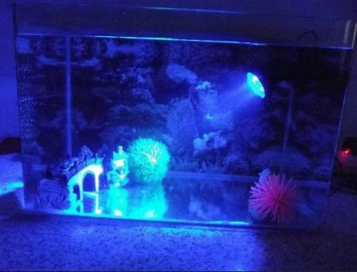 Adjustable 36LED Aquarium Waterproof Spot Light underwater diving spotlight submersible pool pond Fish tank fountain Spring lamp: blue