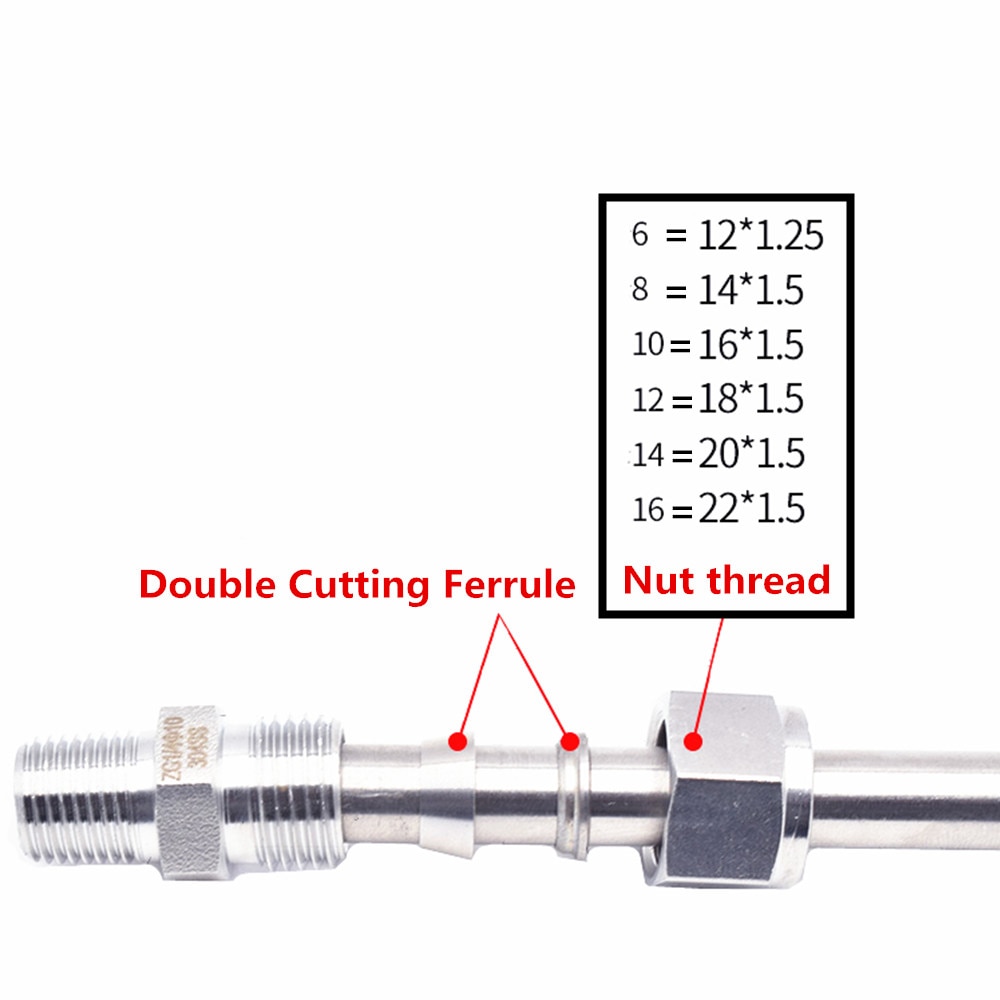 SS 304 Stainless Steel Double Ferrule Compression ... – Grandado