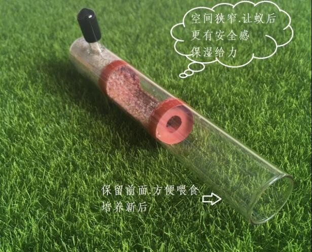 Neue Bambus Ameise Nest Haustier Ameise Acryl Heimat Werkstatt freundlicher Eductional DIY Spielzeug Wissenschaftliche Beobachtung Gerät Spielzeug 20-25-30MM