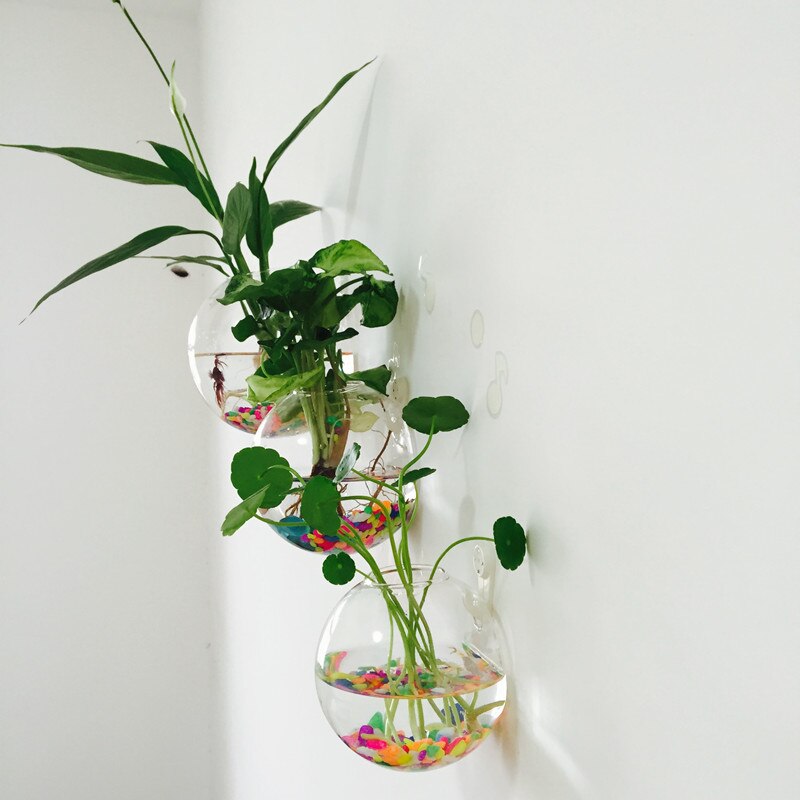 Diameter=10cm Wall Mounted Glass Terrarium Vase with open Home Decorative Hanging Glass Vase Glass Fishbowl