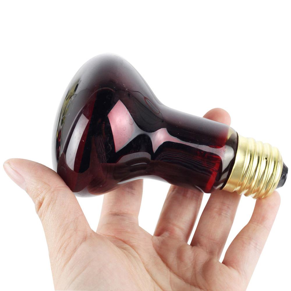 Bombilla calefactora infrarroja R63, 60W, E27, lámpara de fisioterapia