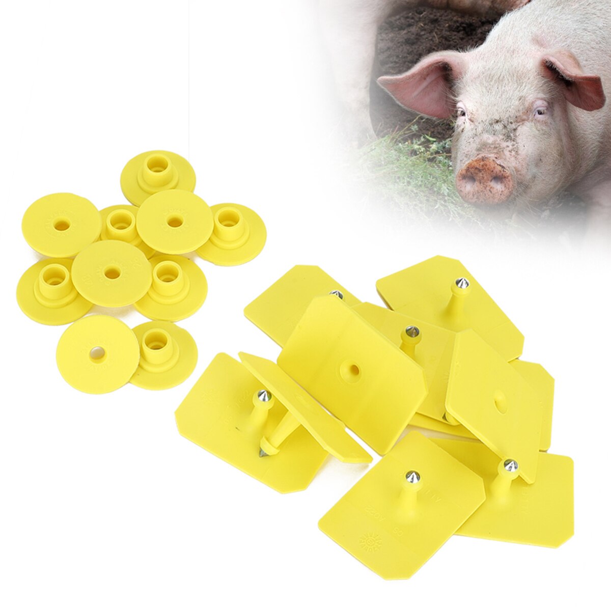 10PCS Pig Ear Tags Livestock Blank Ear Tags Farm Animals Management Identification Tags Farm Tools