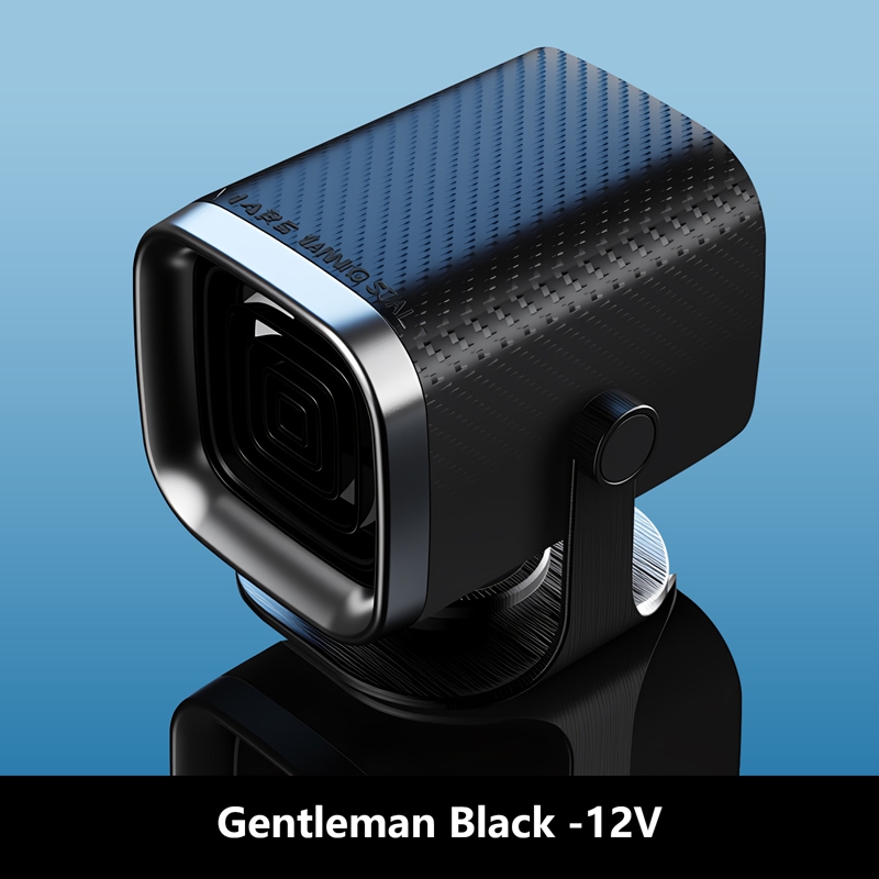 Autoverwarming 12V/24V Elektrische Koel- en Verwarmingsventilator Elektrische Verwarmingsventilator Ruitontdooier Ontwaseming Ontdooier Auto-accessoires: zwart