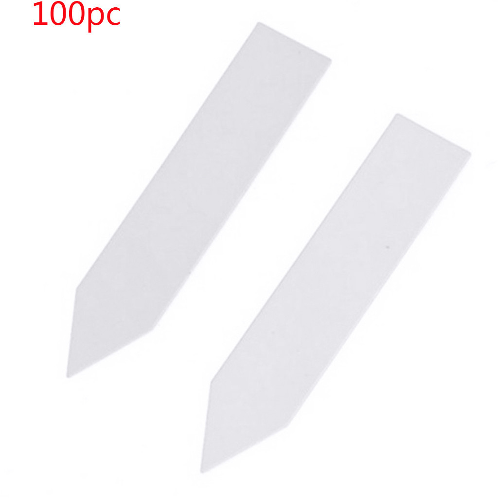100 st trädgård grönsak markör plast växt utsäde etiketter pot markör plantskola trädgård stav taggar 5cm x1cm: Vit