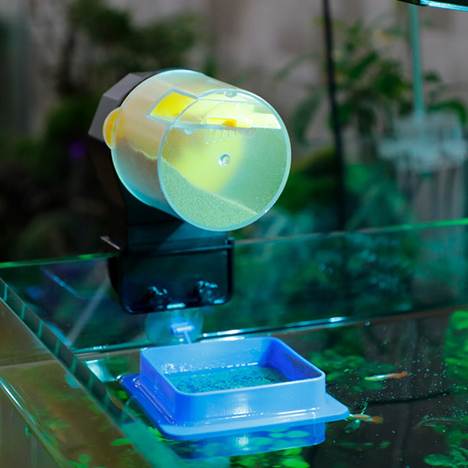 Alimentador automático de peces para acuario, alimentador de tanque, temporizador, dispensador de Comida para peces, vajilla para oficina y Casa, caja de acuario