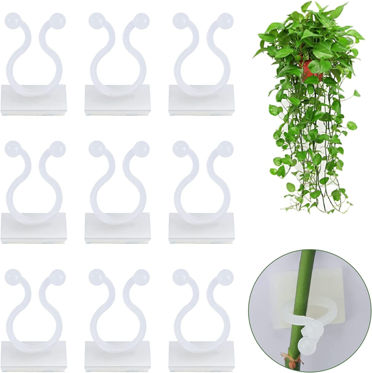 Clips muraux pour plantes grimpantes, crochet à boucle fixe auto-adhésif, pince en rotin, Stent pour plantes, Clips pour vigne grimpante murale pour plantes de jardin