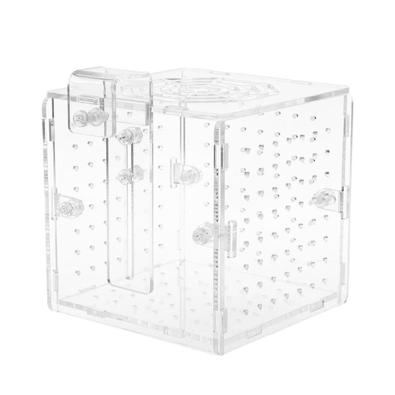 Acrylic Aquarium Fish Breeding Isolation Box With Sucker for Baby Fish Hatchery Incubator Cage: L29K-01