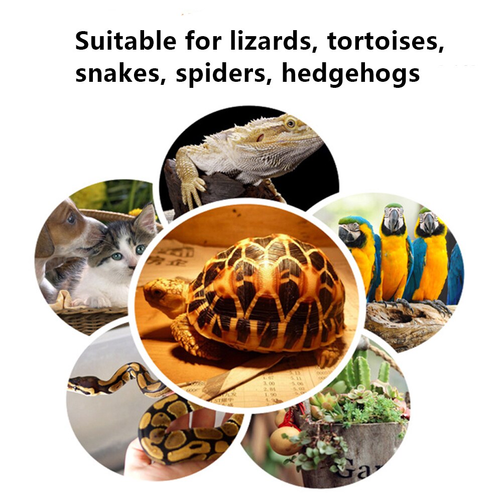 Mini keramisk varmelampe 220v 25w/50w /75w /100w e27 infrarøde krypdyrskilpadde varme pærer vanntette temperaturkontroller