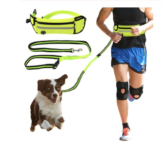 Hond Elastische Riem Running Leash Set Handen Gratis Hondenriemen Kraag Huisdieren Accessoires Puppy Dog Harness Leash Voor Pet