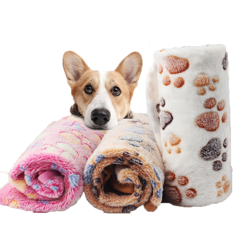 Huisdier Zachte Huisdier Deken Winter Hond Kat Bed Mat Foot Print Warm Slapen Matras Small Medium Honden Katten Coral Fleece dierbenodigdheden