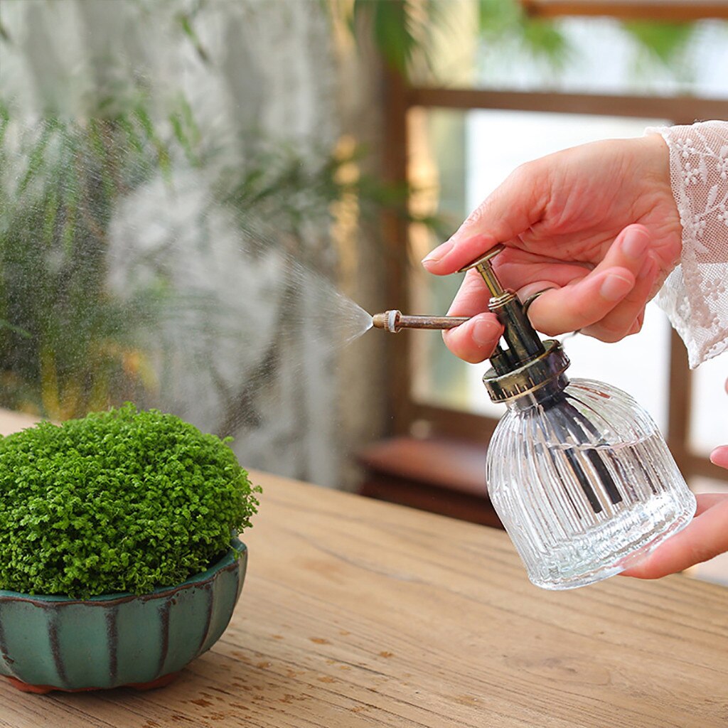 Retro glas vandkande plante blomster sprayflaske håndvask flaske farve grøn plante havevandkande