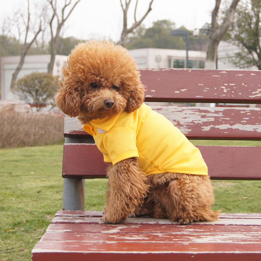 Modieuze Mooie Lente en Zomer Kleding Teddy Hond POLP Shirt Dierbenodigdheden Voor Honden Katten