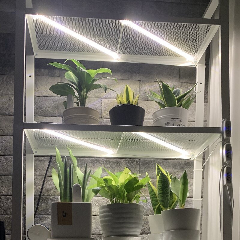 Phytolamp Voor Planten Timer Licht Groeien Strips 5V Hydrocultuur Orchideeën Phyto Lamp Voor Planten Zaailingen Thuis Wit Spectrum led