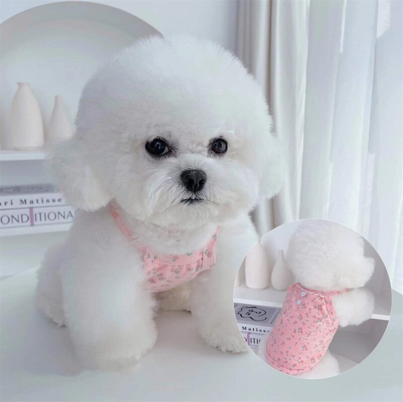 Tanie ubrania dla psów lato Korea styl moda krótka kamizelka dla zwierząt spódnica Yorkie pomorskie Shih Tzu maltański Bichon pudel odzież dla zwierząt