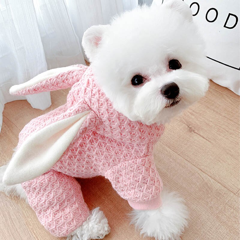 Épais chien vêtements hiver animaux chiens vêtements grand lapin oreille vêtements pour animaux de compagnie pour petits chiens moyens manteau veste produits pour animaux de compagnie York