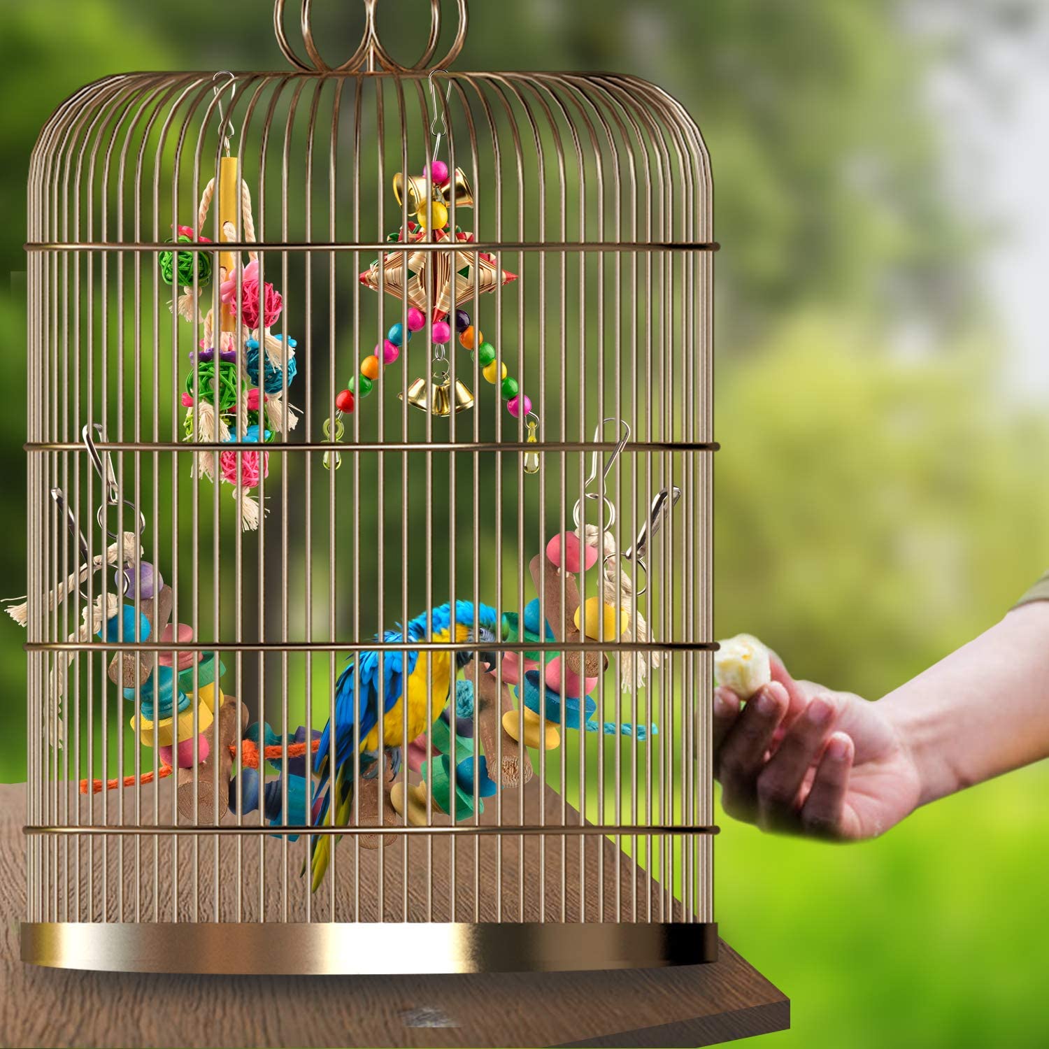 Columpio para aves de juguete, 6 uds., columpio para masticar, para loros, canarios, perchas colgantes con campanas, periquitos, juguetes para masticar