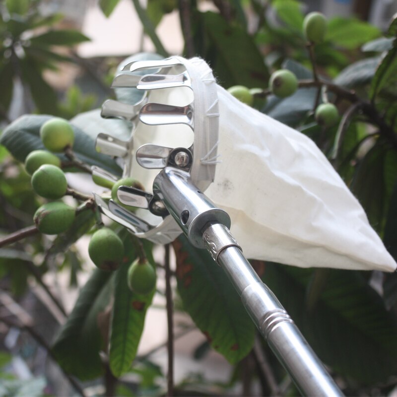 Telescopische fruitplukker, fruitplukker met 4m/13ft uitschuifbare