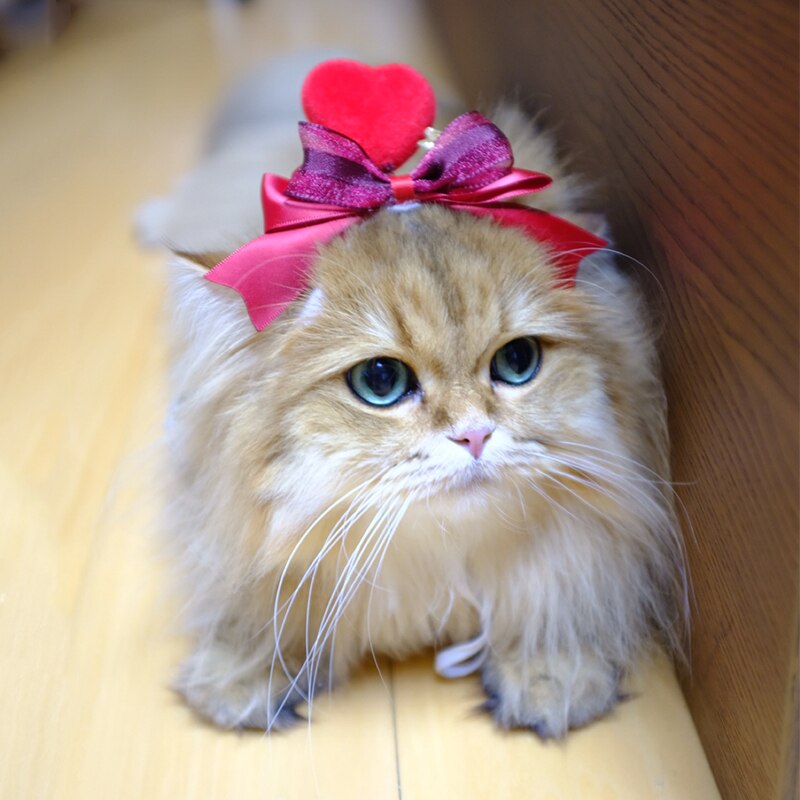 Tocado de gato Manual para el Día de San Valentín, conjunto de cabeza de perro, accesorios para el cabello de mascotas, horquilla, accesorios para gatos, suministros para mascotas