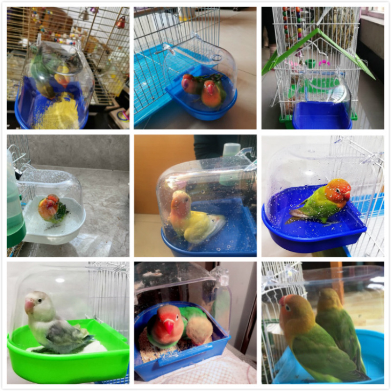 7 farben Vogel Badewanne Kunststoff Dusche Zimmer Papagei Reinigung Werkzeug Hängen Vogelbad Badewanne Wellensittich Wasser Oder Sand Schlecht Lieferungen