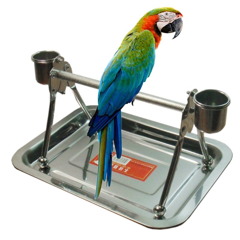 Rustfrit stål kæledyrsfugle står med fodringsbakke bordplade til fugle hvile legetøj formet stor fugl papegøje høne ara  c42