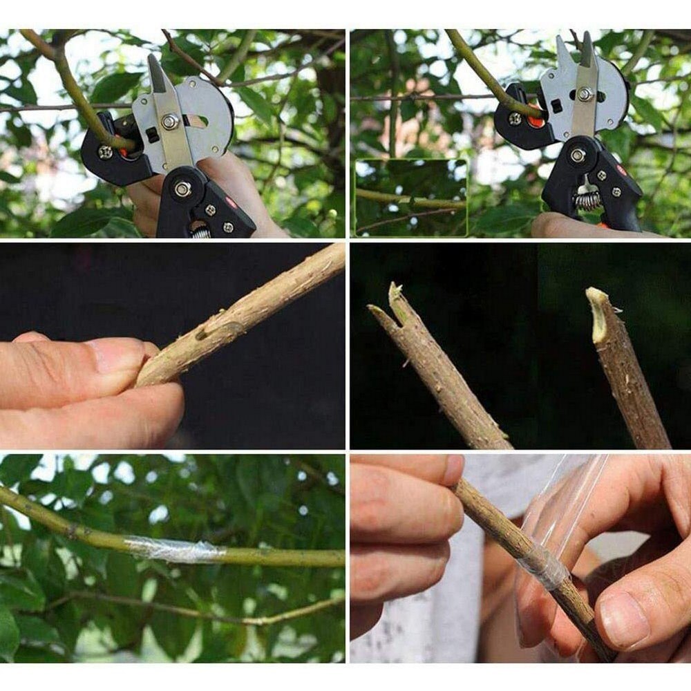 Podning skæreværktøj tænger frugttræ beskæring sakse klippe drue sekatør skridsikker håndtag gemme beskæring frugtplantage haven beskærer