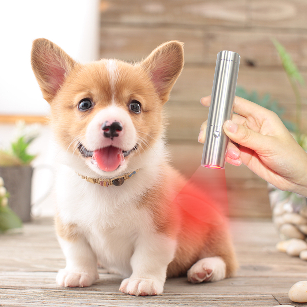 Far Infrared Handheld Modle Handle Held 630nm 660nm 850nm Red Light Therapy Pen