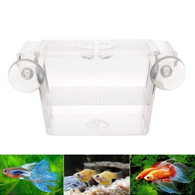 Acuario peces criador caja bebé criadero de peces aislamiento red tanque de peces caja incubadora acuario de suministros
