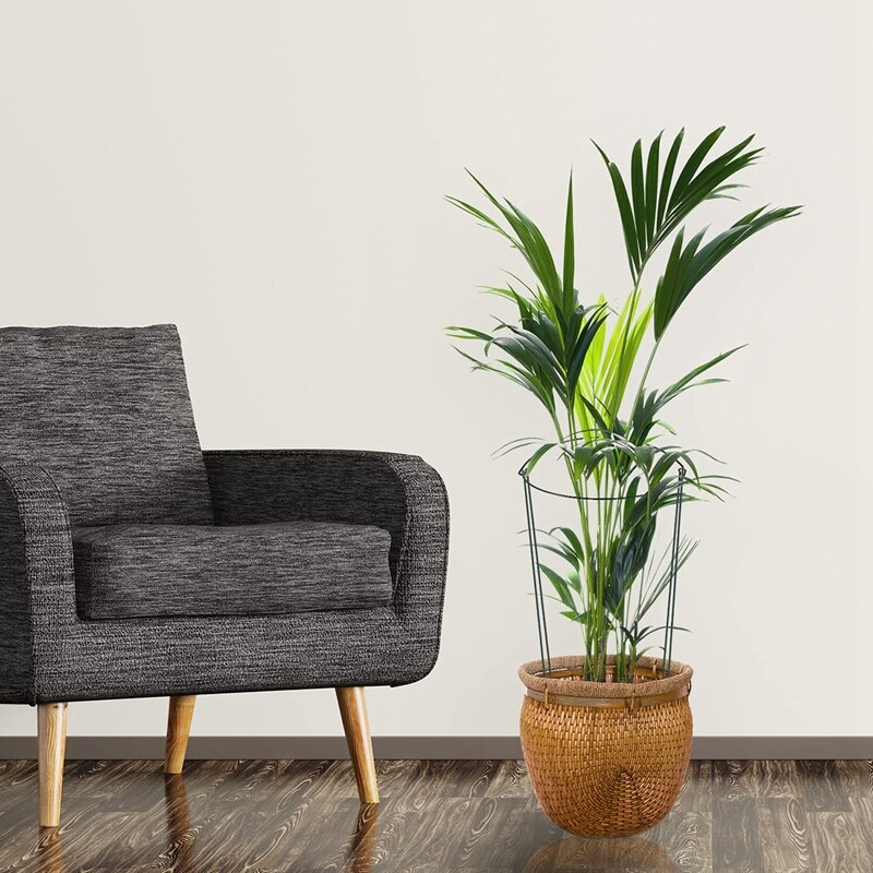 24 Pack Plant Support Stake, Half Round Metal Garden Plant Stake, Plant Support Ring, Border Support With Plant Labels