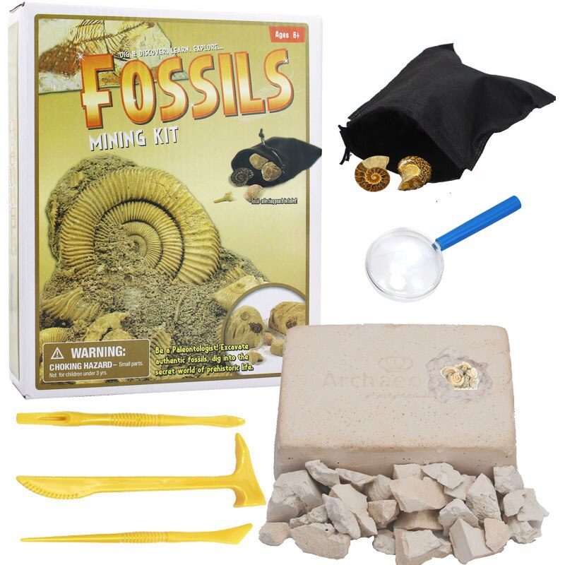 Archeology Dig Discovery Kit Excavate Gems Fossils Rocks Minerals Great Science Mineralogy and Geology Enthusiasts Xmas
