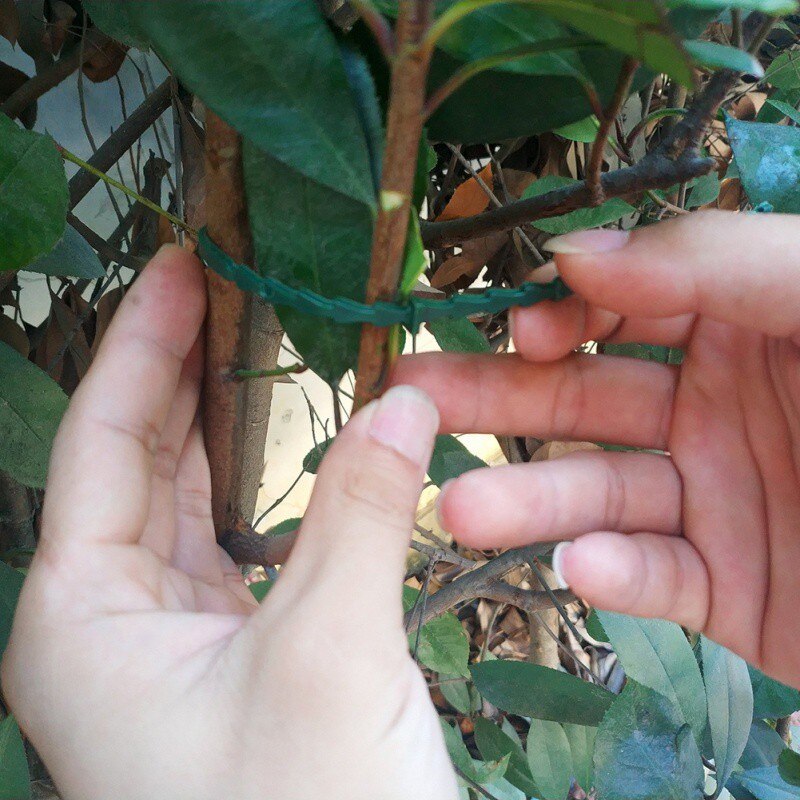 50/100 Uds. Bridas de plástico ajustables para cables de plantas bridas para cables reutilizables para soporte de escalada de árboles de jardín Clip de tallo de tomate de vid