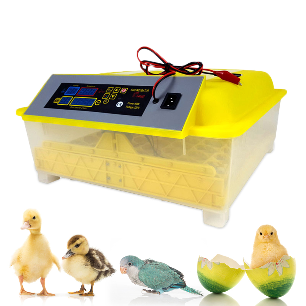 Gevogelte Volautomatische Uitbroedmachine Voor 48/56 Kip Eend Ganzeneieren, Digitale 12V 110V 220V Voeding Ei Incubator