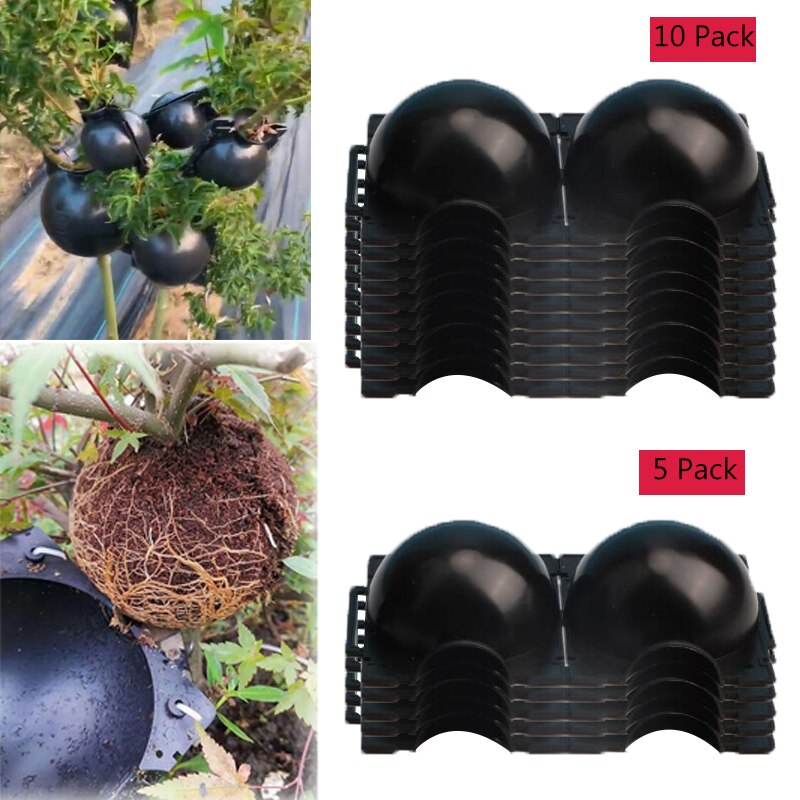 Boîte de culture pour racines de plantes, 5 pièces, boîte de culture pour racines de plantes de jardin