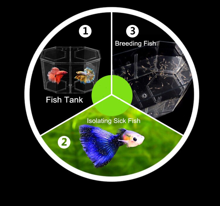Acrylic Guppy Fish Tank Two Splits Aquarium Betta Fish Bowl Transparent Aquarium Hatchery Breeding Isolation Box