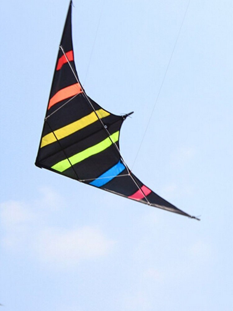 Outdoor Fun Sports 48/72 Inches Dual Line Stunt Kites /Aurora Kite With Handle And Line Good Flying
