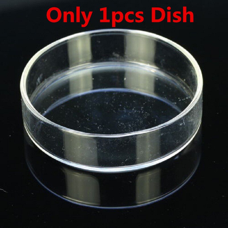 Glass Aquarium Feeder Tube Dish Shrimp Fish Snail Sunk Food Dispenser Feeding Tube Bowl Aquarium Accessories: Only 1pcs Dish