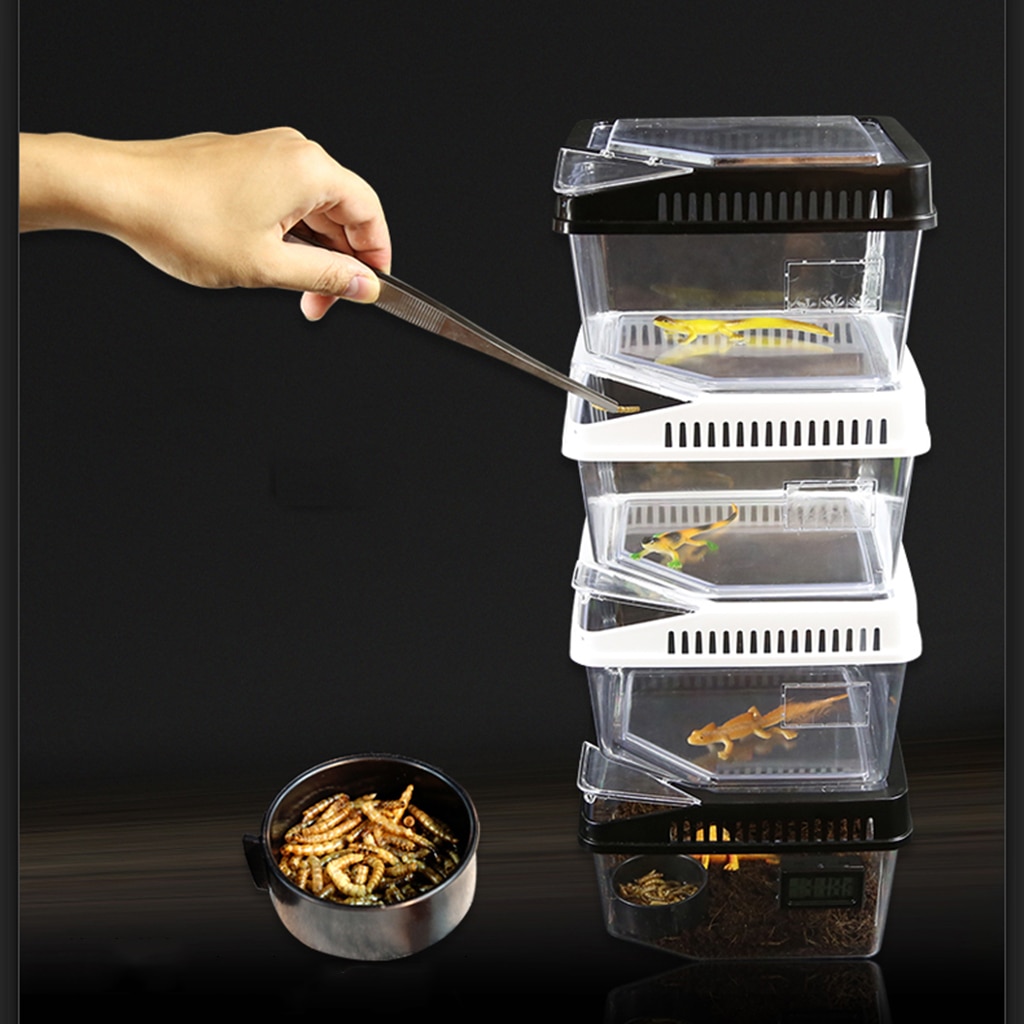 Sturdy Plastic Reptile Lizard Spider Beetle Scorpion Insect Vivarium Terrarium Rearing Box Breeding Case Container