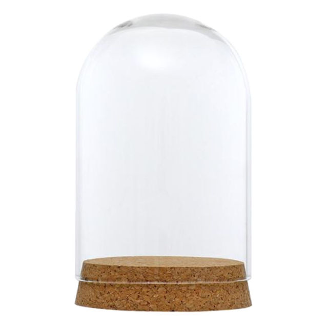 Glas Kuppel Cloche Abdeckung Holz Kork Basis Microlandscape Halfter Glocke Krug Für DIY Blume Pflanzen Vase Tisch Ornamente Hause Dekoration: 8x12cm