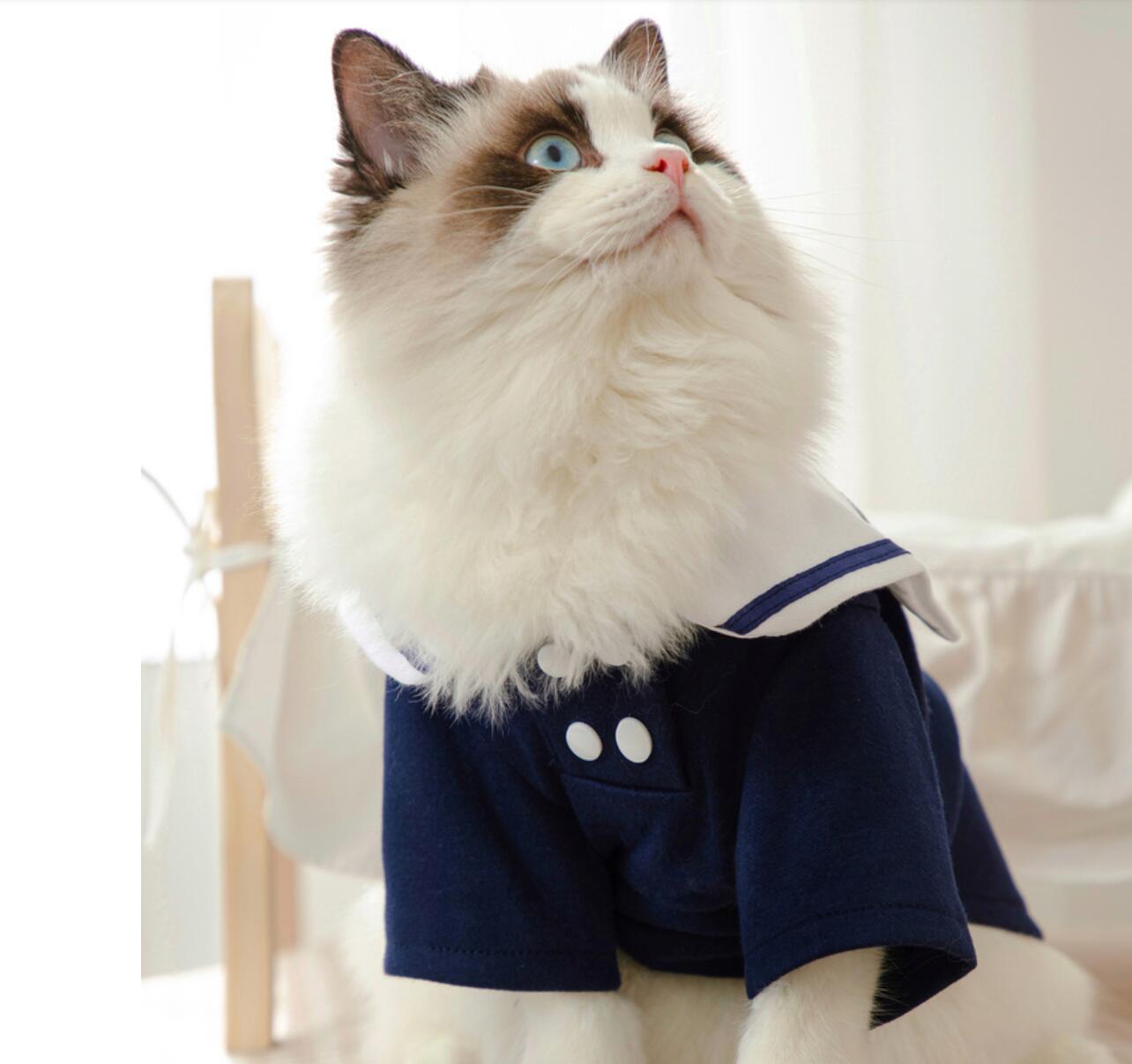 Cuate Cat Clothes Girl Small Dog Skirt Pet Clothing Summer Spring Cat Puppy Clothing