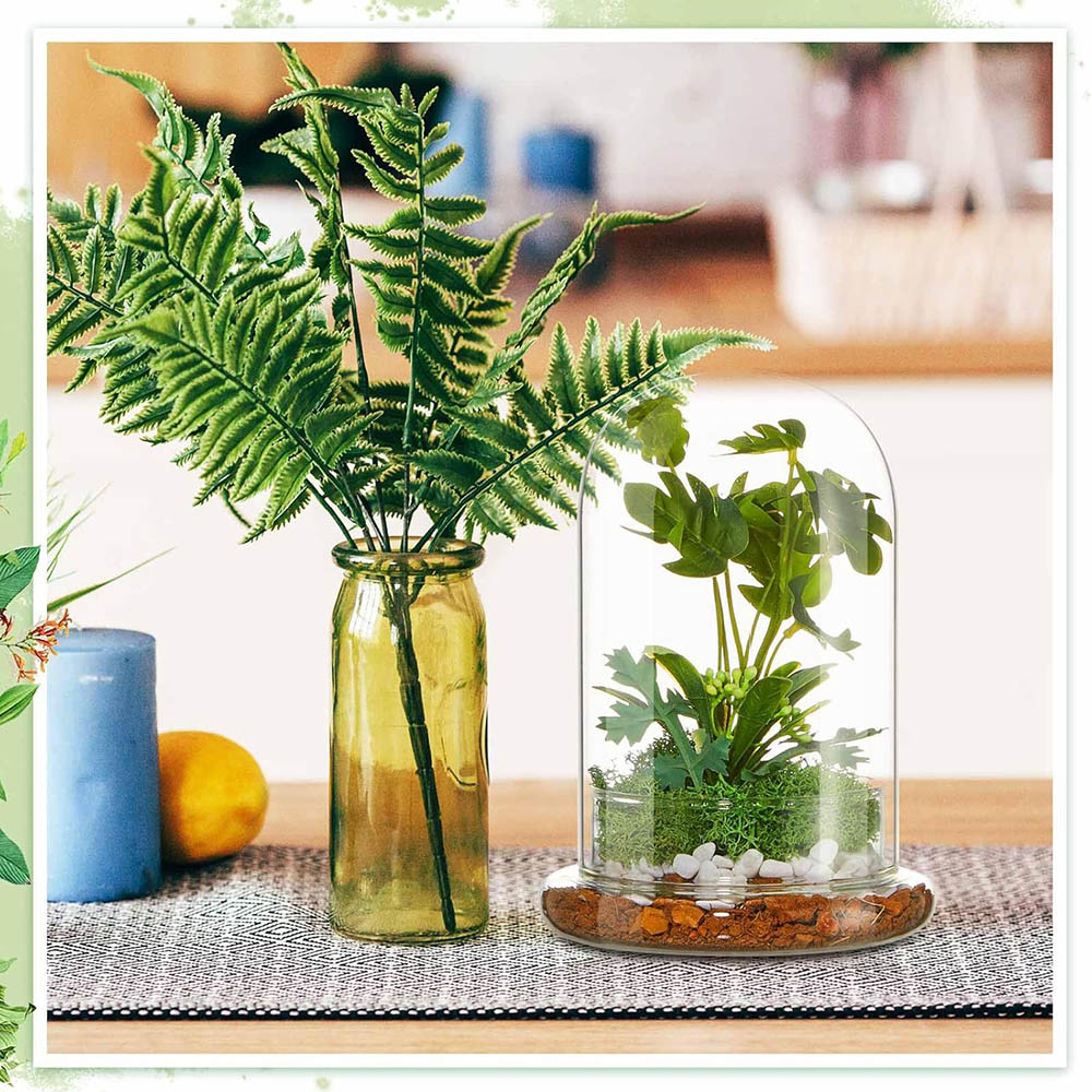 Cúpula de vidrio con orificio de aire, campana de cristal con Base, exhibición de mesa para el hogar, contenedor de terrario transparente para plantas, terrario