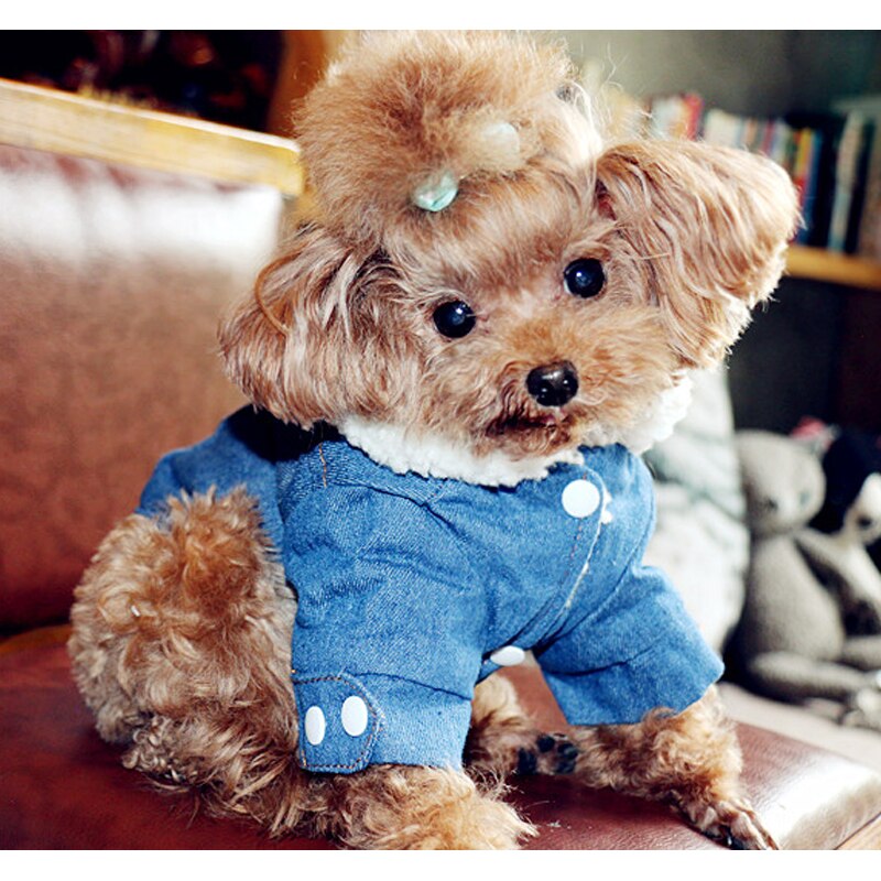 Herfst En Winter Dikke Warme Denim Katoenen Jas Pet Kleding Geschikt Voor Poedel, Pommeren, teddy Warm Te Houden En Comfotable